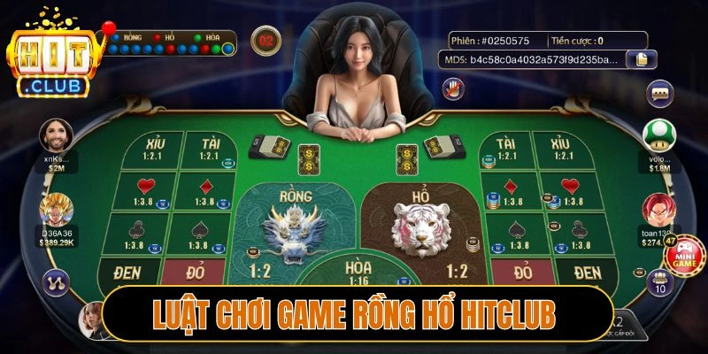Luật chơi Rồng hổ Hitclub chi tiết