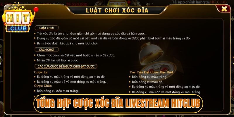 Tổng hợp cược Xóc đĩa livestream Hitclub